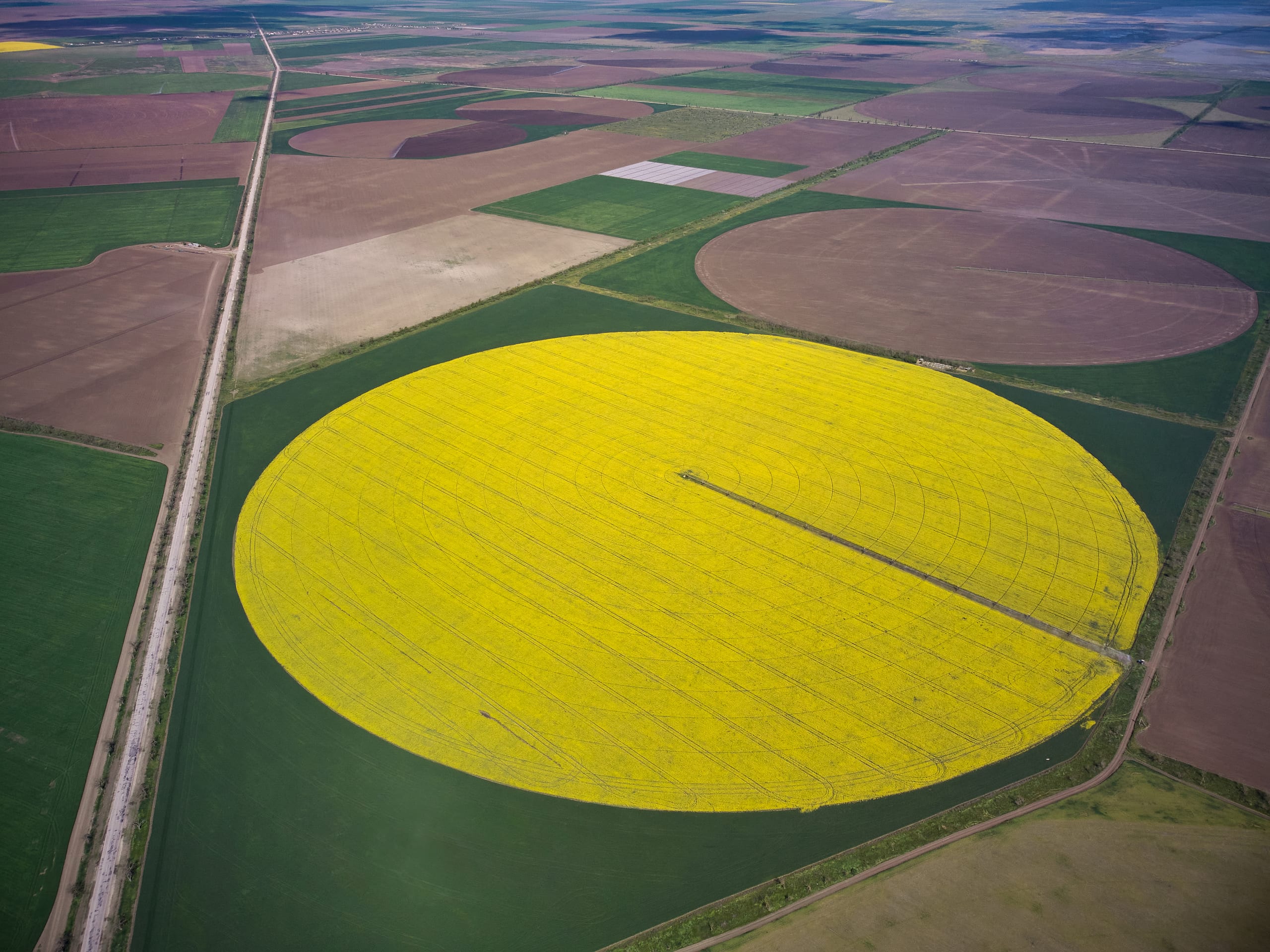 Irrigated commercial farmland in Mashonaland